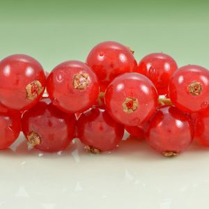 Red Currant – Ribes rubrum Red currant fruit, Ribes rubrum