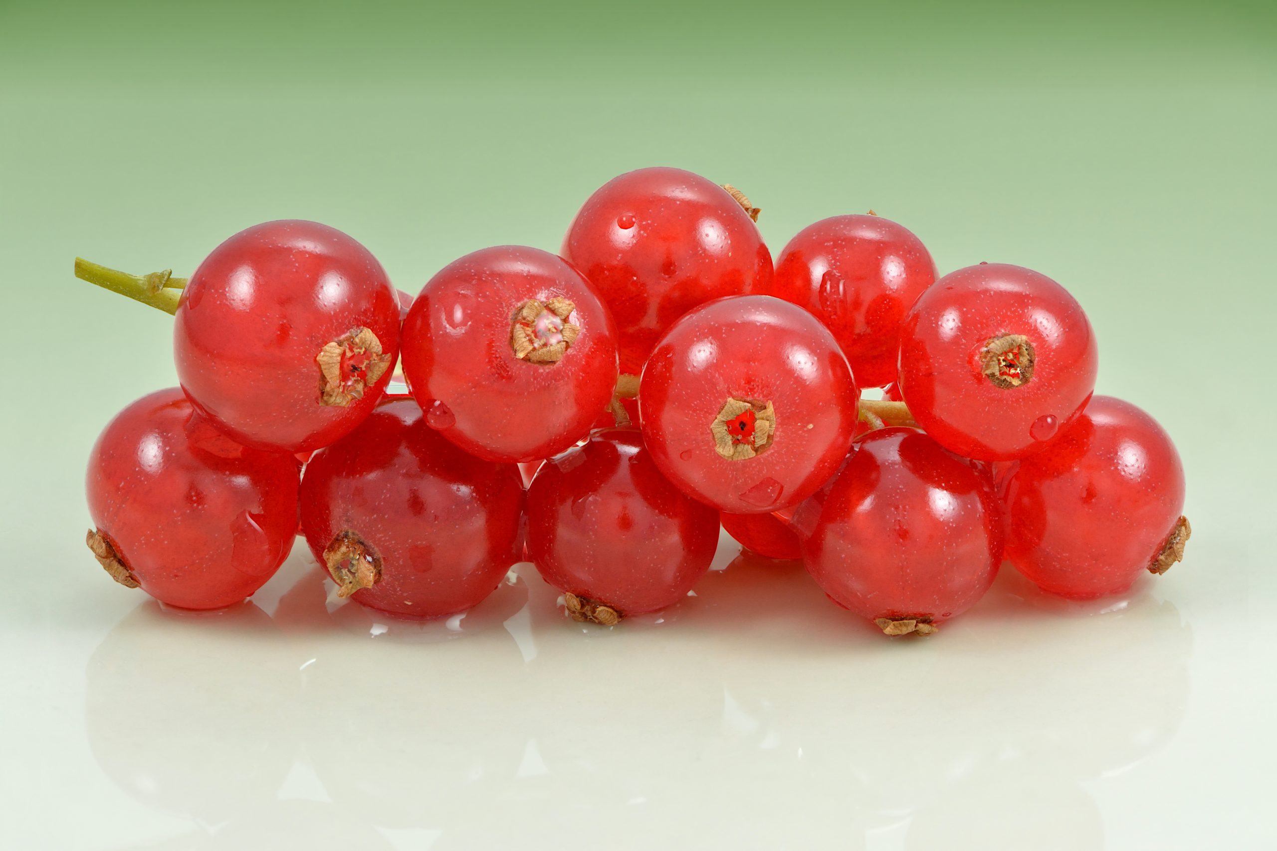 Red currant fruit, Ribes rubrum